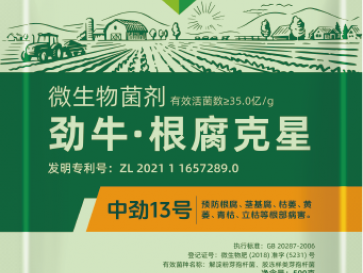 中勁13號(hào)·根腐克星