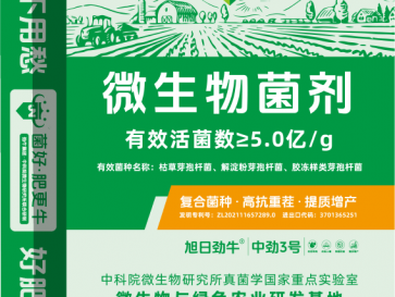 中勁3號(hào)·5億粉劑