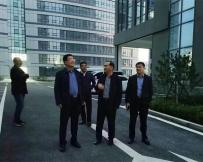 莘縣縣政府領導考察勁牛集團