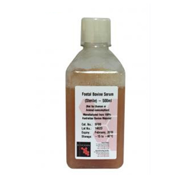 進口胎牛血清 進口胎牛血清